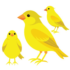 Canary birds set shilhotee vector isolated on white background