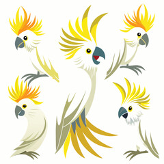 Cockatoo birds set shilhotee vector isolated on white background
