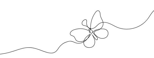 Continuous line, beautiful butterfly Simple lines, transparent background, editable strokes.