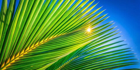 Obraz premium Macro Palm Tree Leaves Against Vivid Blue Sky - Tropical Summer Stock Photo