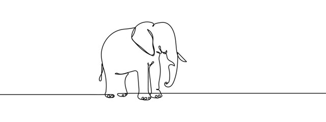 Continuous line, wild elephant Simple lines, transparent background, editable strokes.