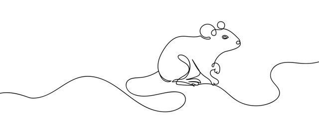 continuous line rat Simple lines, transparent background, editable strokes.