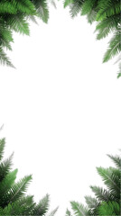 Green Fir Frame With Transparent Background Photo Illustration