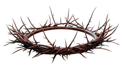 Isolated 3D Rendered Brown Crown Of Thorns On Transparent Background