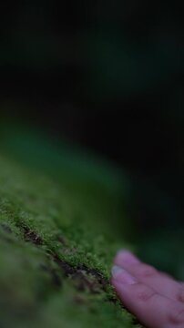 touch moss