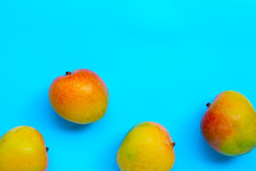 Tropical fruit, Mango  on blue background.