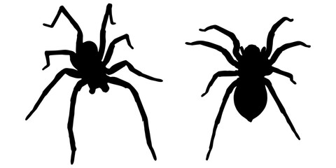 Black Spider Silhouettes in Various Poses Isolated on White Background

