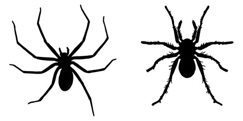 Set of Spider Silhouettes Featuring Smooth and Hairy Body Types Isolated on White Background