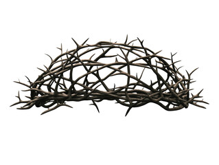 Fototapeta premium Isolated Image of Brown Intertwined Branches Against Transparent Background