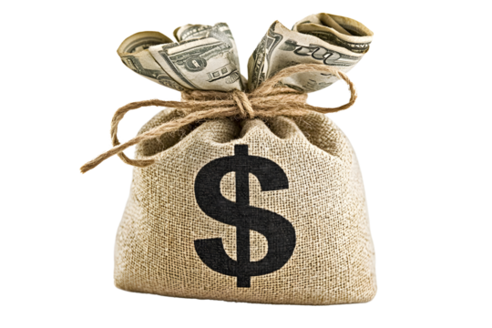 Dollar Sign Money Bag with Cash Inside on White Background