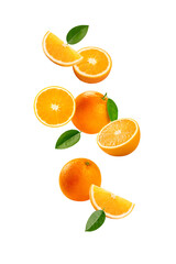 Falling orange fruits with slices and leaves isolated on white background.