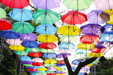 Obraz premium Lots of umbrellas and beautiful colors. Decorate the place