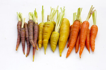Fresh carrot vegetables, Ripe carrots