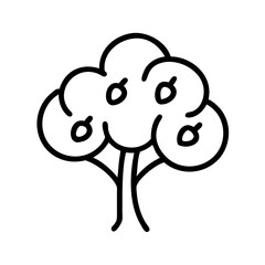 plum tree line drawn outline vector art - illustration of plum tree isolated transparent background