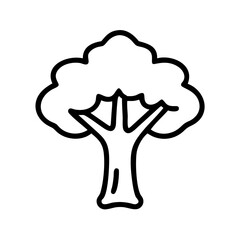 teak tree line drawn outline vector art - illustration of teak tree isolated transparent background