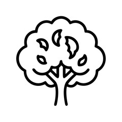 walnut tree line drawn outline vector art - illustration of walnut tree isolated transparent background