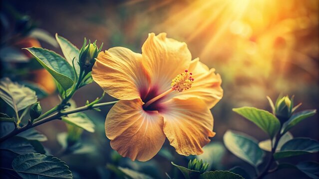 Yellow Hibiscus Flower Wallpaper