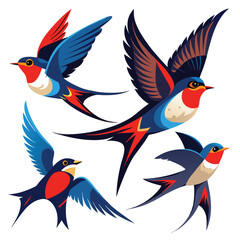 Common swift birds set shilhotee vector isolated on white background