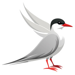Arctic tern birds set shilhotee vector isolated on white background