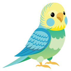 Budgerigar birds shilhotee vector isolated on white background