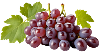 Fresh ripe grapes red grape bunch grapes fruit healthy food grapes nutrition grapes benefits grapes diet. png image on transparent background . PNG image