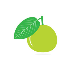 Guava and leaf vector image