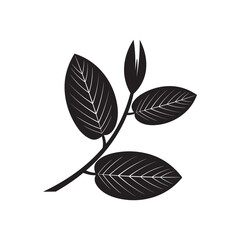 Guava leaf vector image