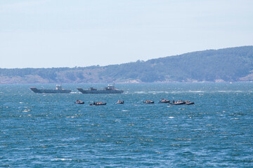 military maneuvers. Infantry, aviation and navy landing	