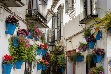 street in the old town with blue flower pots on wall