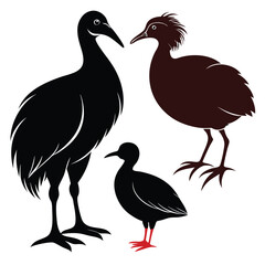Megapode birds set shilhotee vector isolated on white background
