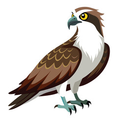 Fototapeta premium Ospreys birds set shilhotee vector isolated on white background