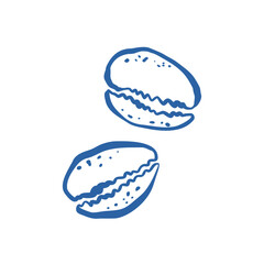 Hand drawn blue cowrie seashells isolated on white background for summer tropical design and decoration