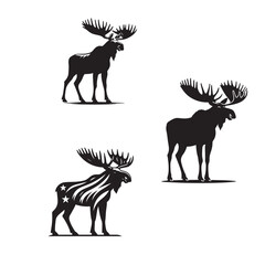 Fototapeta premium Moose Standing Silhouette – Black and White VectorVector Moose Pose – Minimalist Standing IllustrationStanding Moose Art – Wildlife Silhouette Set