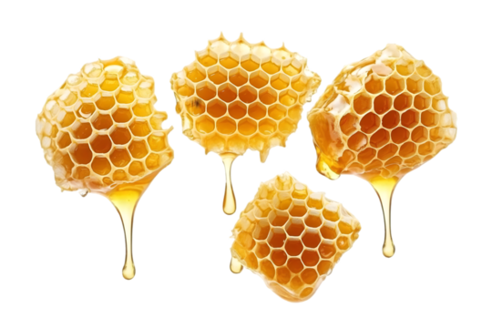 Isolated Photo of Honeycomb Pieces Dripping Honey on Transparent Background