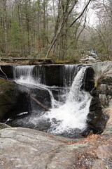 waterfall in the forest
