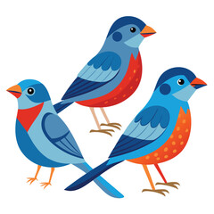 Passerine birds set shilhotee vector isolated on white background