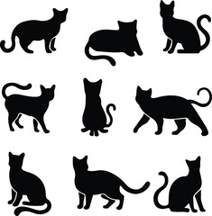 Cat Vectors