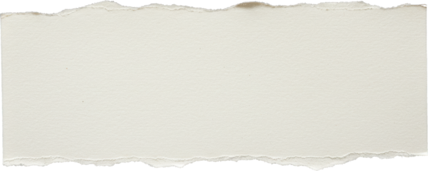Torn off white paper with rough edges
