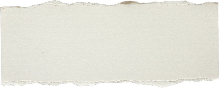 Torn off white paper with rough edges