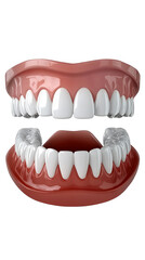Obraz premium Realistic 3D Illustration of a Dental Prosthesis on Transparent Background