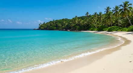 Fototapeta premium Tropical Beach with Palm Trees and Turquoise Water