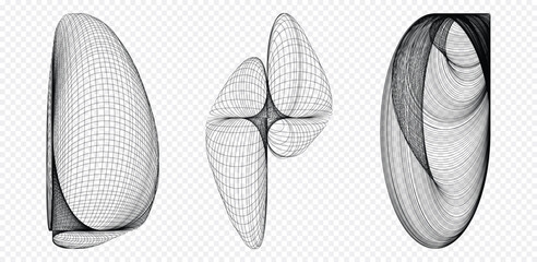 Set of 3 abstract line geometric shapes. Dynamical forms with lines, isolated on white background. Graphic elements. Template for poster, logo, cover design. Vector white black illustration.