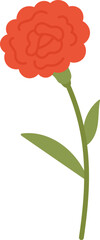 Carnation Flower Illustration &ndash; Flat Design Style