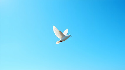 A Symbol of Peace and Hope, A White Dove Silhouetted Against a Tranquil Blue Sky, Representing Freedom, Serenity, and the Beauty of Nature's Simplicity