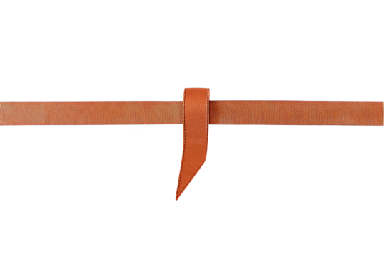 Abstract Tiger Stripe Design on Isolated Transparent Background