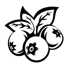 Stylized Black and White Blueberry Illustration with Leaves for a Modern Design