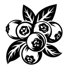 Stylized Black and White Illustration of Blueberries with Leaves for Design Elements