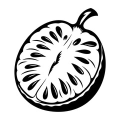 Black and White Graphic Illustration of a CrossSection of a Fig Fruit