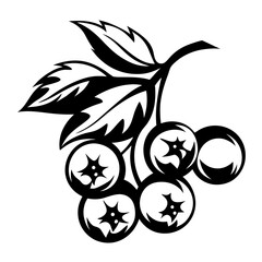 Stylized berries and leaves in simple black and white illustration