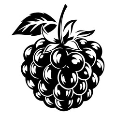 Black and White Raspberry Fruit with Leaf for Graphic Design Projects